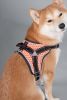 Dog Helios 'Scorpion' Sporty High-Performance Free-Range Dog Harness